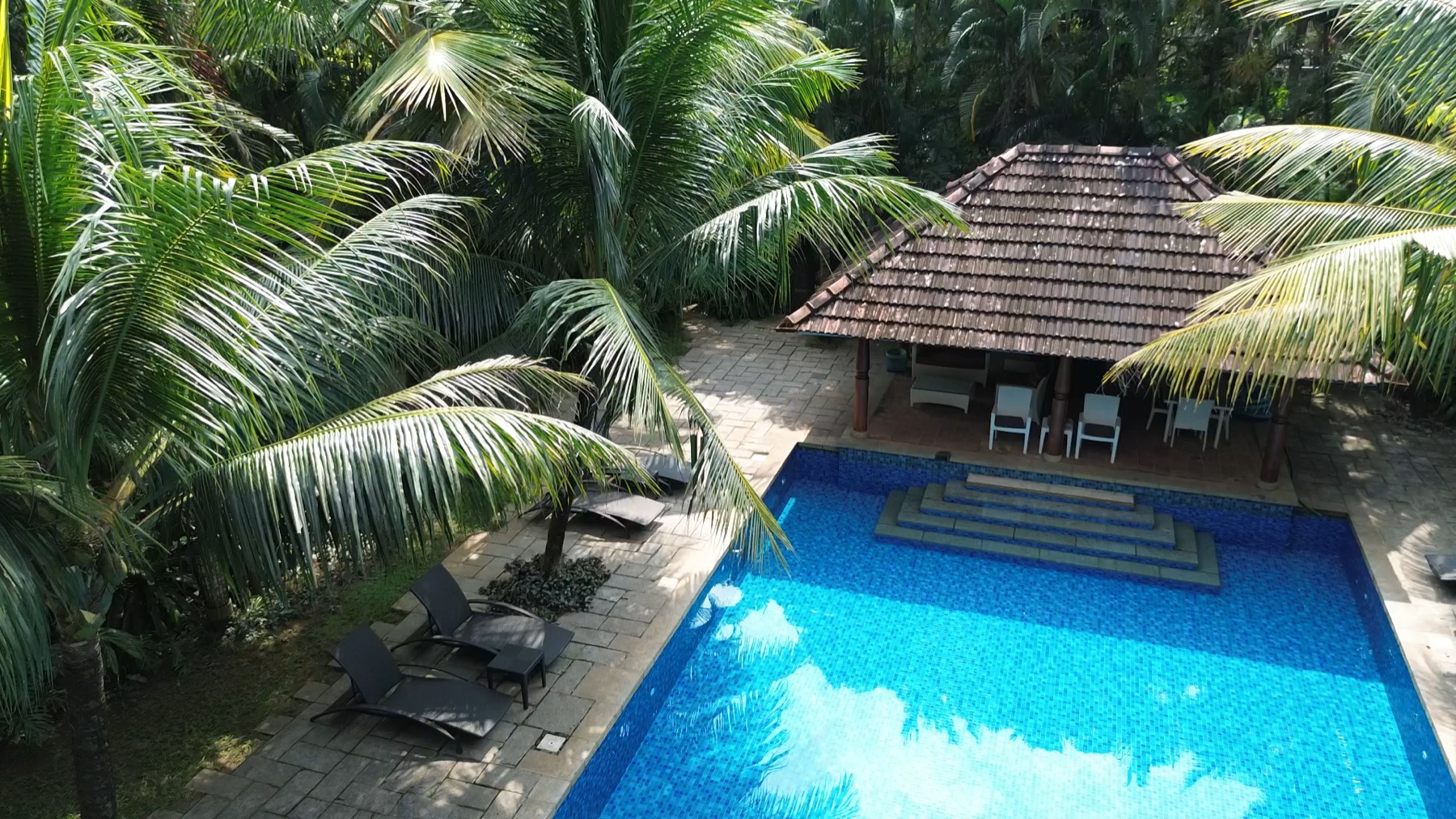 Aerial view of the pool, pavilion and palms at Indian Summer House