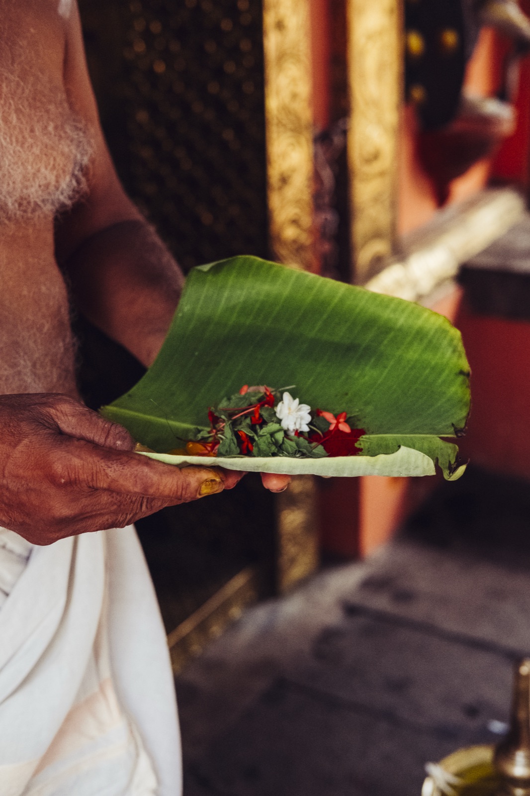 A temple priest holding a banana-leaf offering of flowers