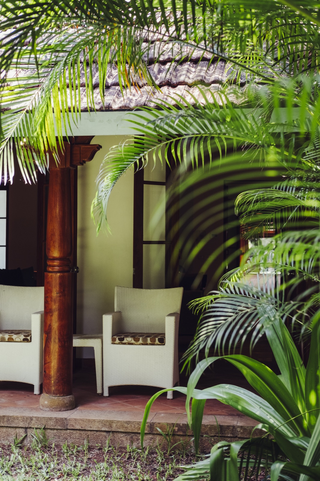 The Lakshmi veranda framed by palms